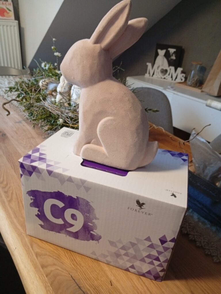 Clean 9 Box - Shake Schoko │ Forever Living