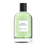 David Beckham Aromatic Greens, Eau de Parfum for him, holzig-grüner Herrenduft, Glasflakon, 100 ml